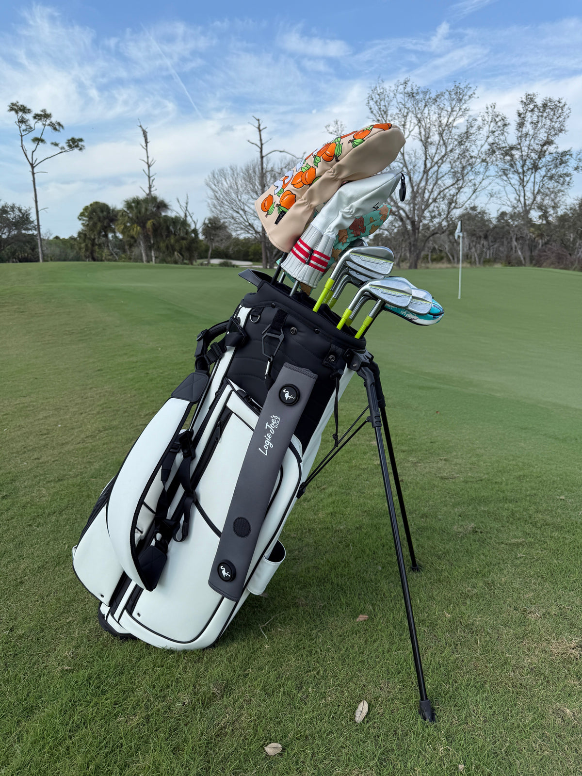 Teal/Orange Magnetic Golf Cart Strap Sleeve, product image 3